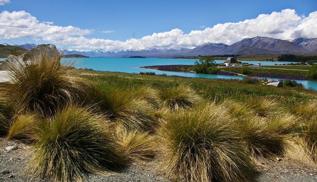 Phoenix Motels Temuka Buitenkant foto